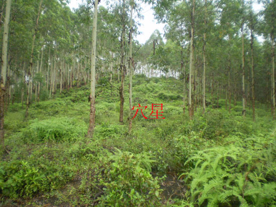 P1010053.jpg