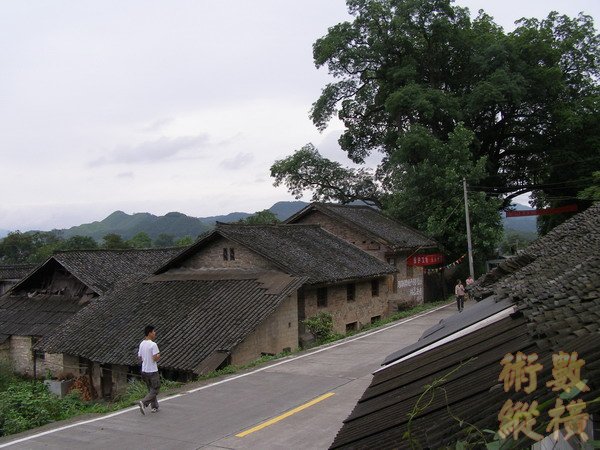 P6130176.JPG