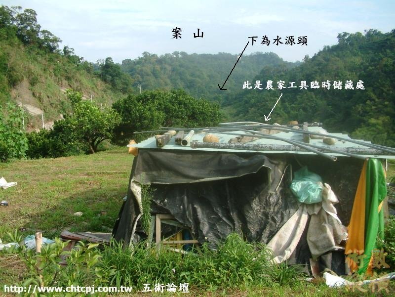燕子回頭