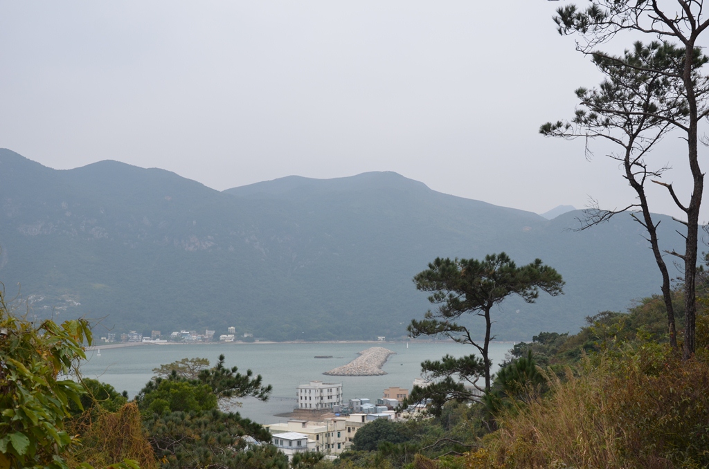 fushan3.jpg