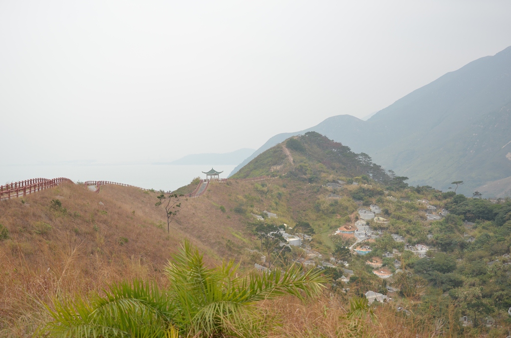 fushan6.jpg