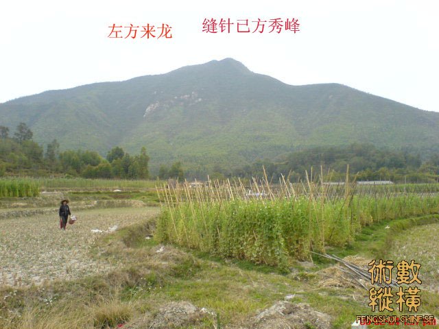 已方秀峰副本.jpg