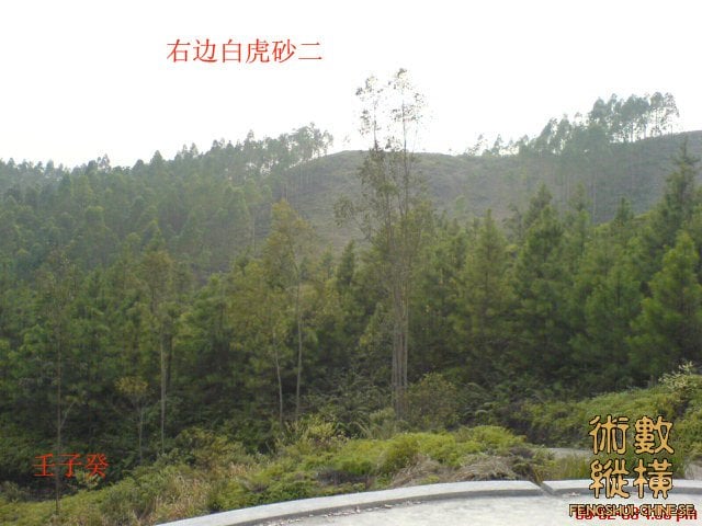 右边白虎砂二.jpg