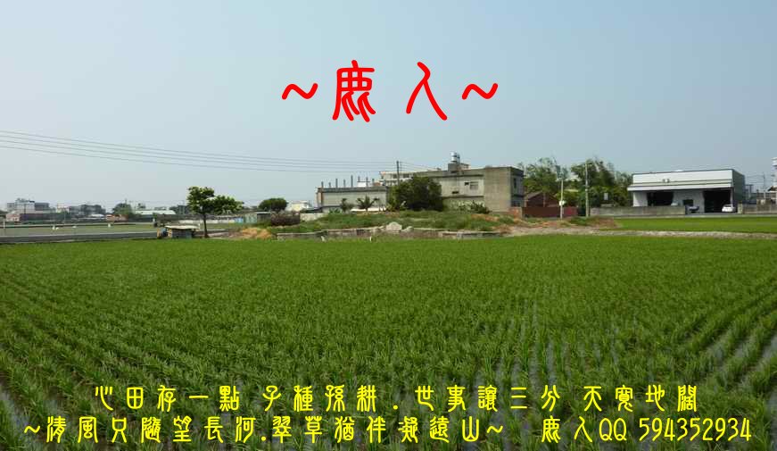 平陽古墓_01.JPG