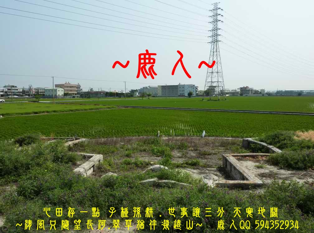 平陽古墓_04.JPG