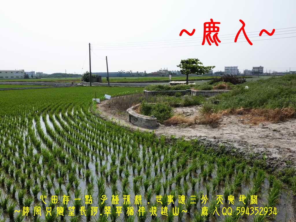 平陽古墓_02.JPG