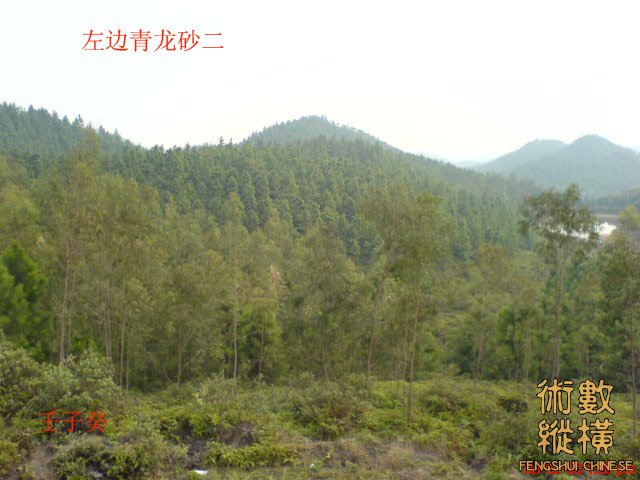 左边青龙砂二.jpg