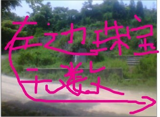 未命名14.jpg
