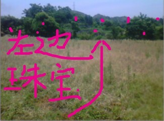 未命名17.jpg