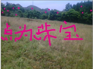 未命名22.jpg