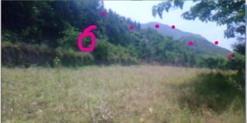 未命名30.jpg