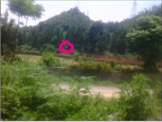 未命名5.jpg