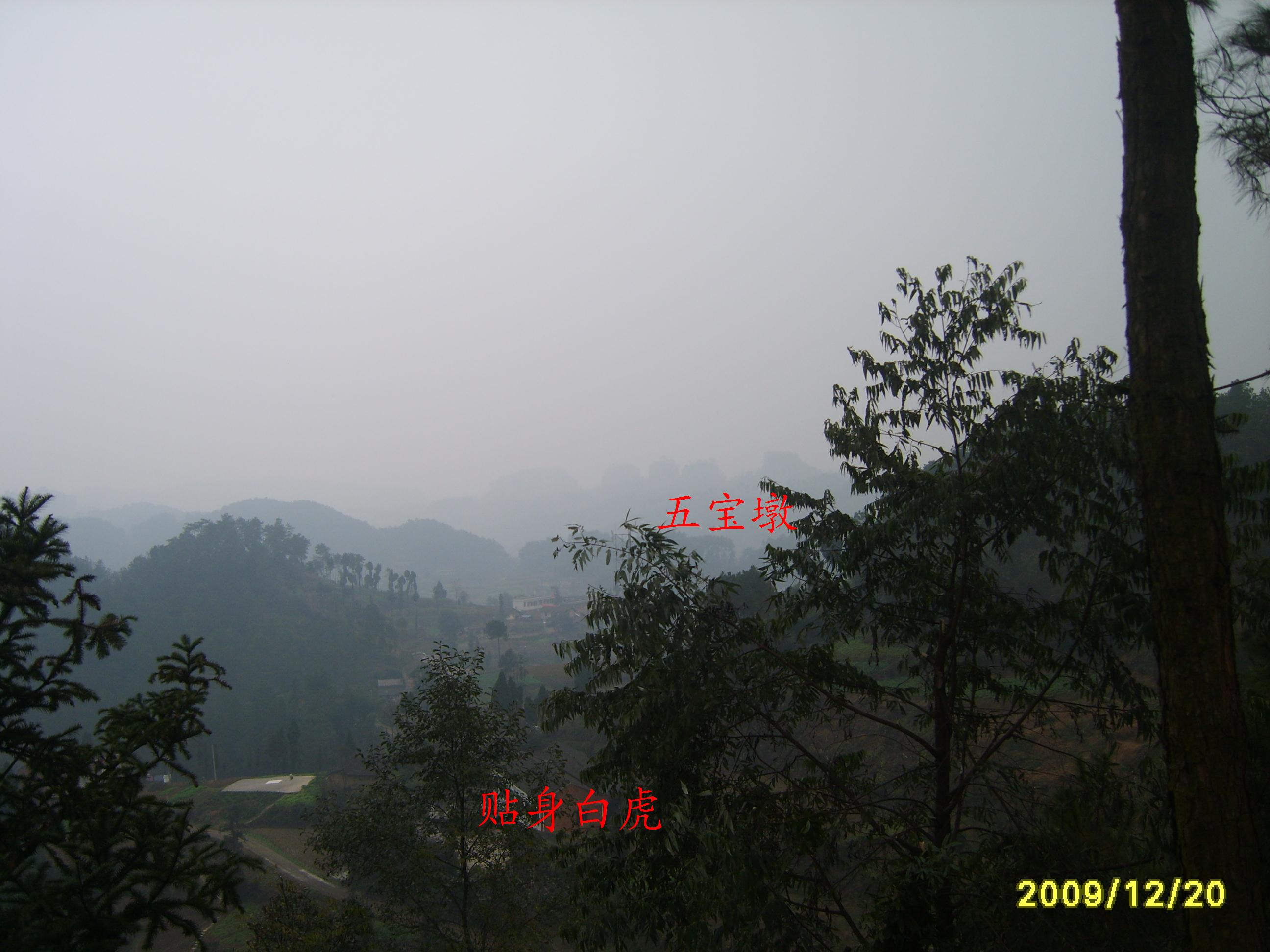 白虎1.JPG