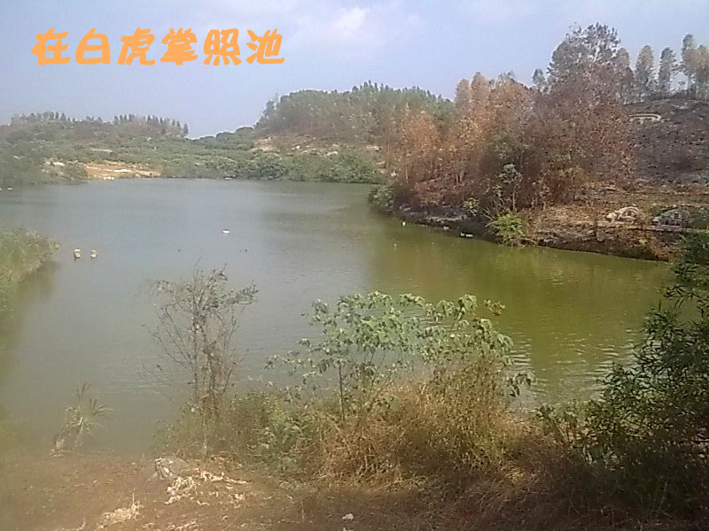 在白虎掌照池.jpg