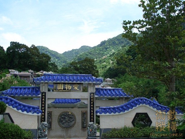 來龍