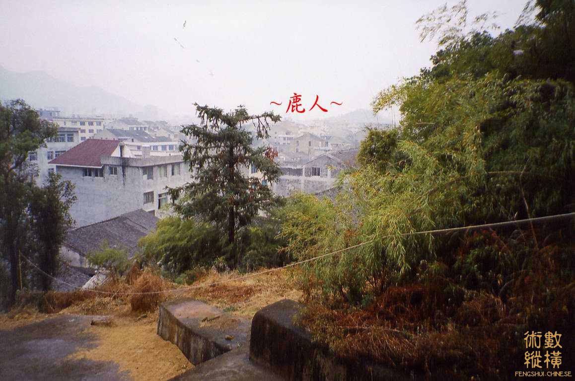 明尚書高友璣墓_23.jpg
