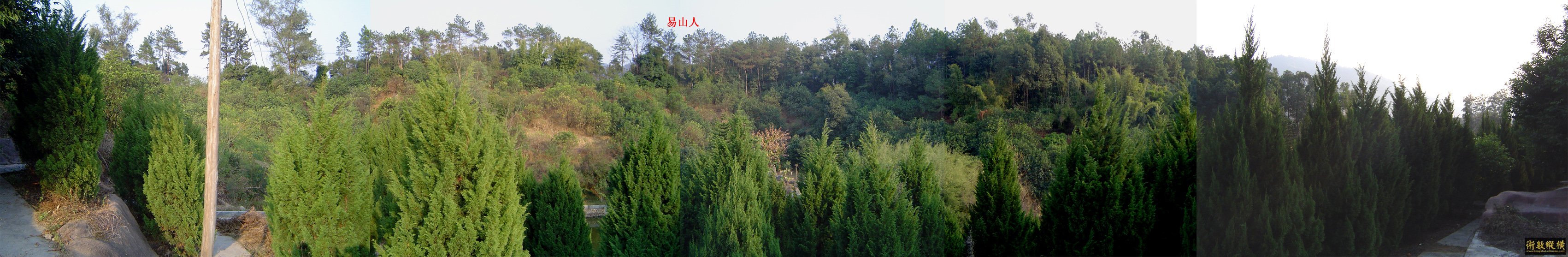 虎颈.jpg