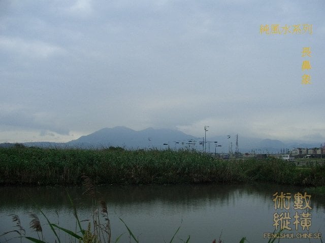 長鼻象