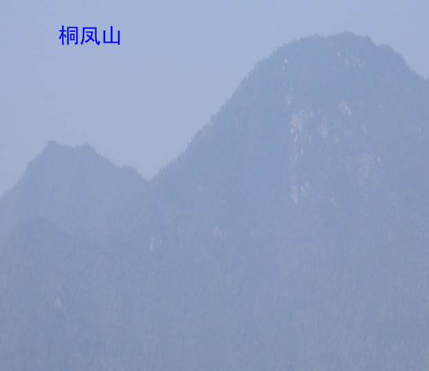 桐凤山.jpg