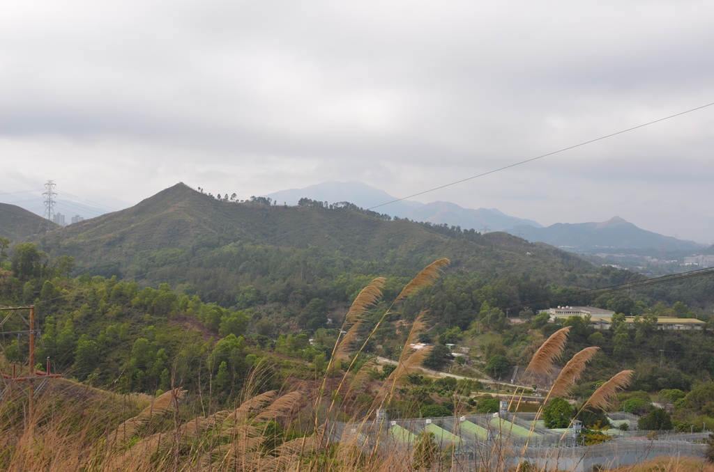 takuleng2.jpg