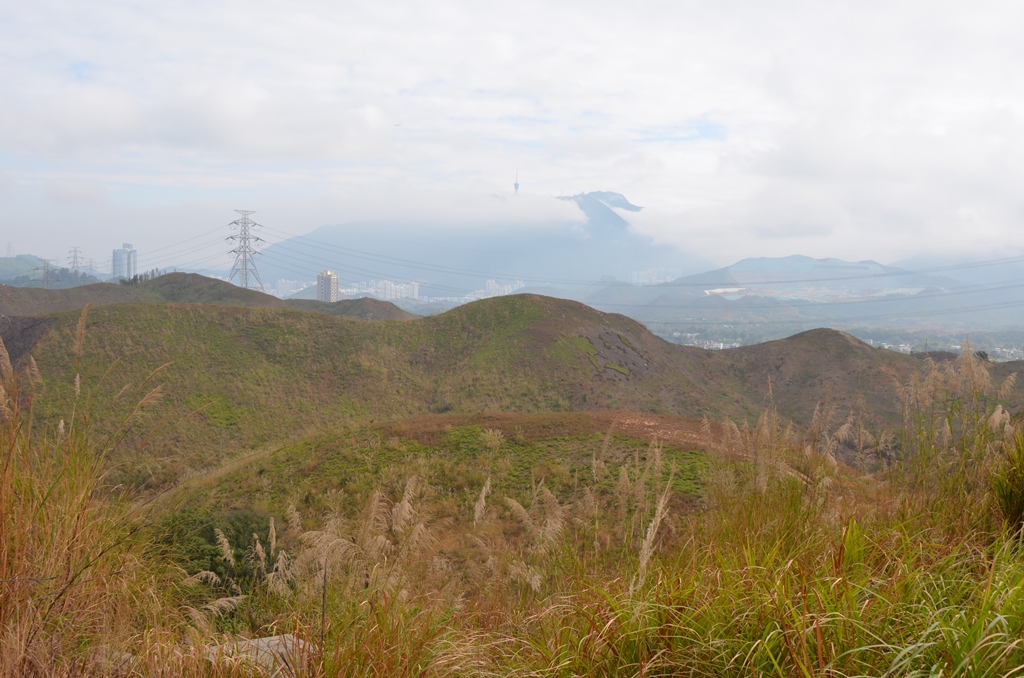 takuleng.jpg