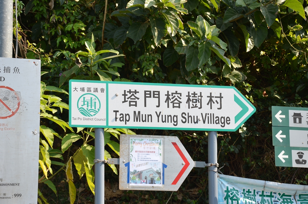 tap7.jpg