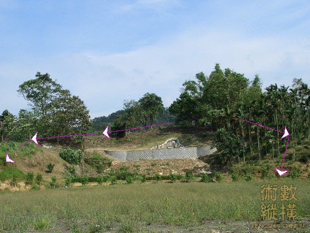 遠觀