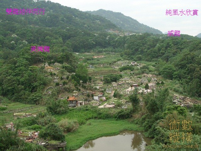 雌龍