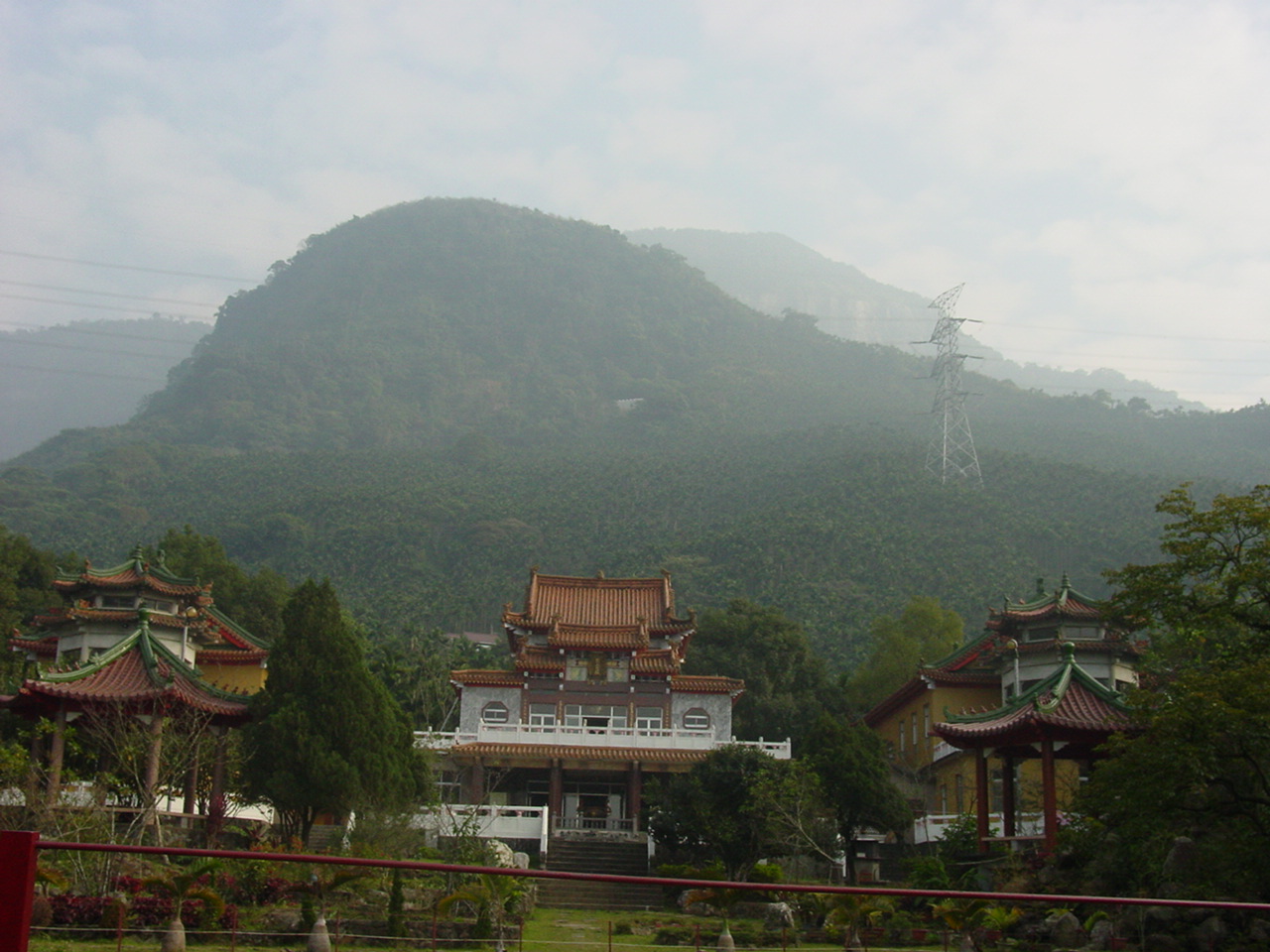 壁上飞娥.jpg