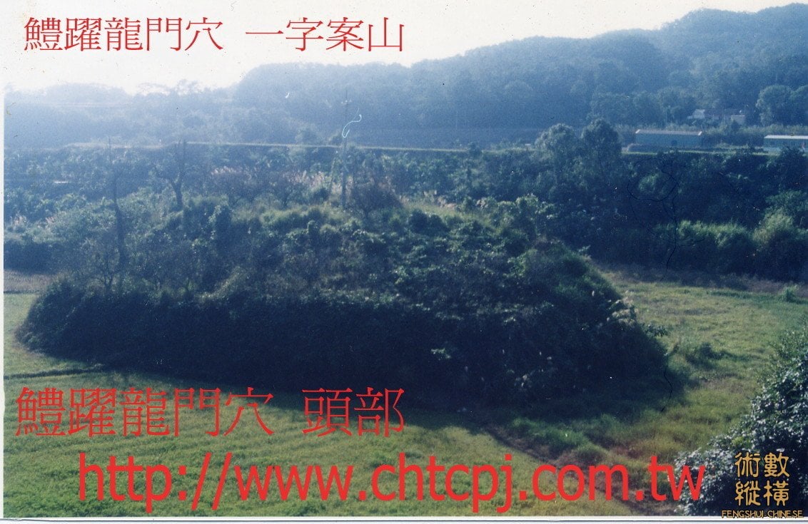 鱧躍龍門穴