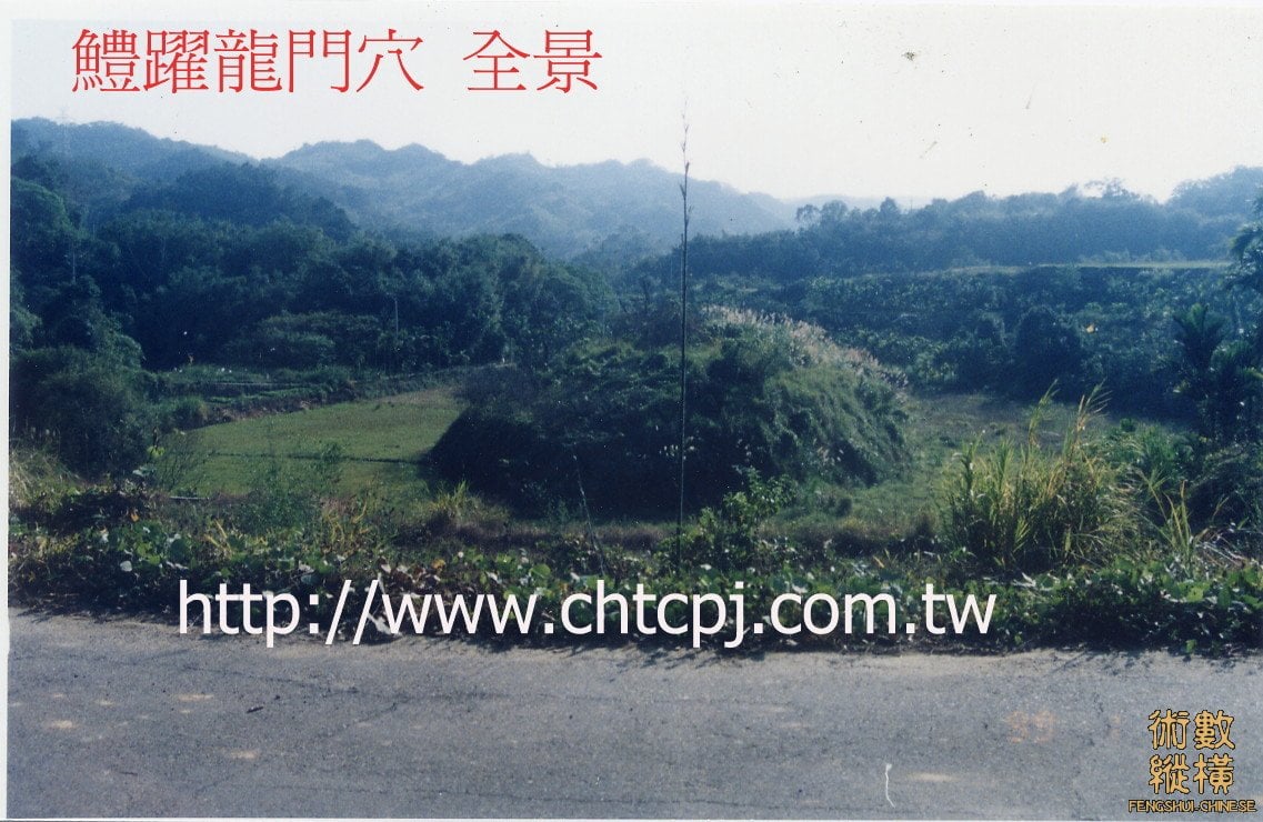 鯉魚頭全景-66.JPG