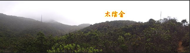 孤墳二 DSC_0276.JPG