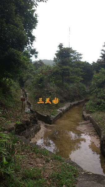 孤墳二 DSC_0279.jpg