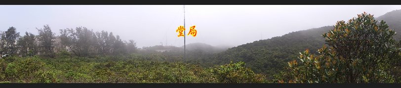 孤墳二 DSC_0268.JPG