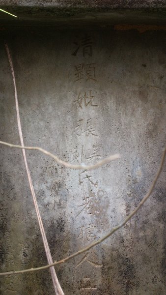 孤墳二 DSC_0264[1].jpg