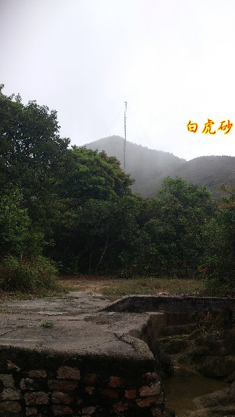 孤墳二 DSC_0282.jpg