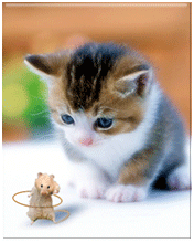 886148f3f4dd005a352acca3.gif