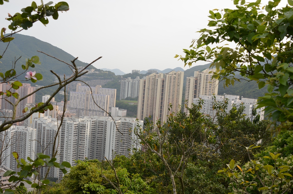 chaiwan1.jpg