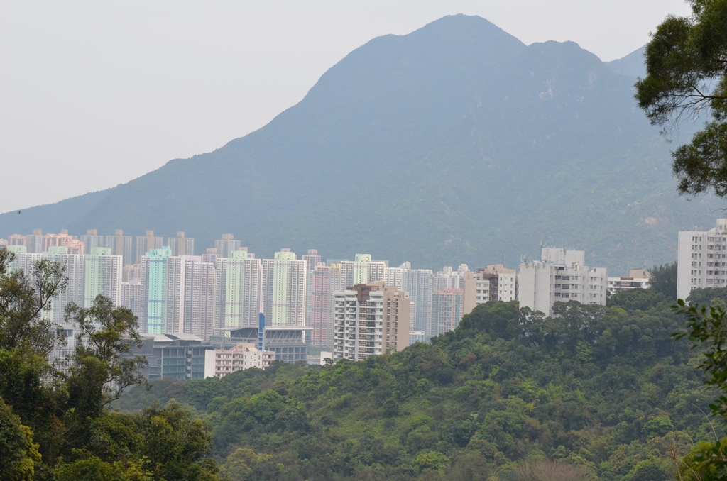 maonshan4.jpg