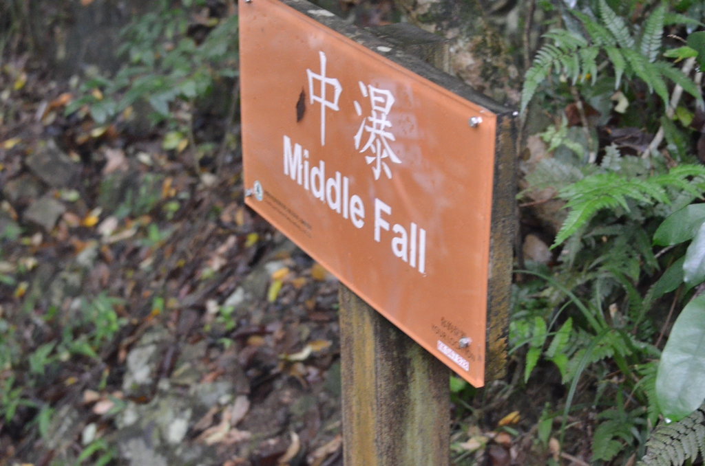 midfalla.jpg