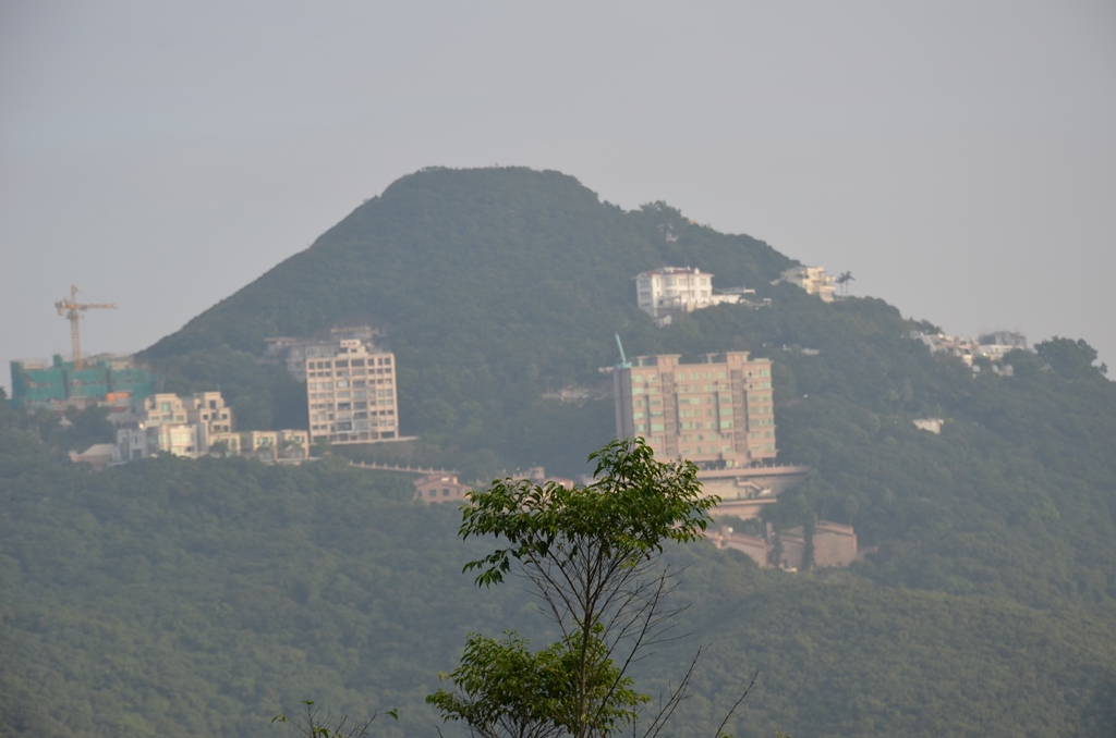 peak8.jpg