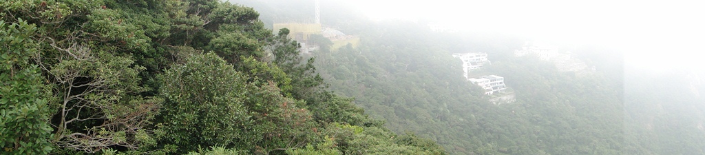 peak8.jpg