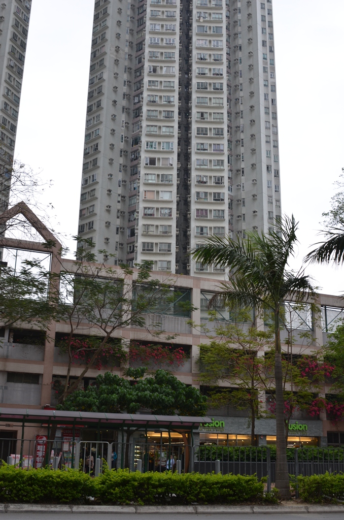 samtseng1.jpg