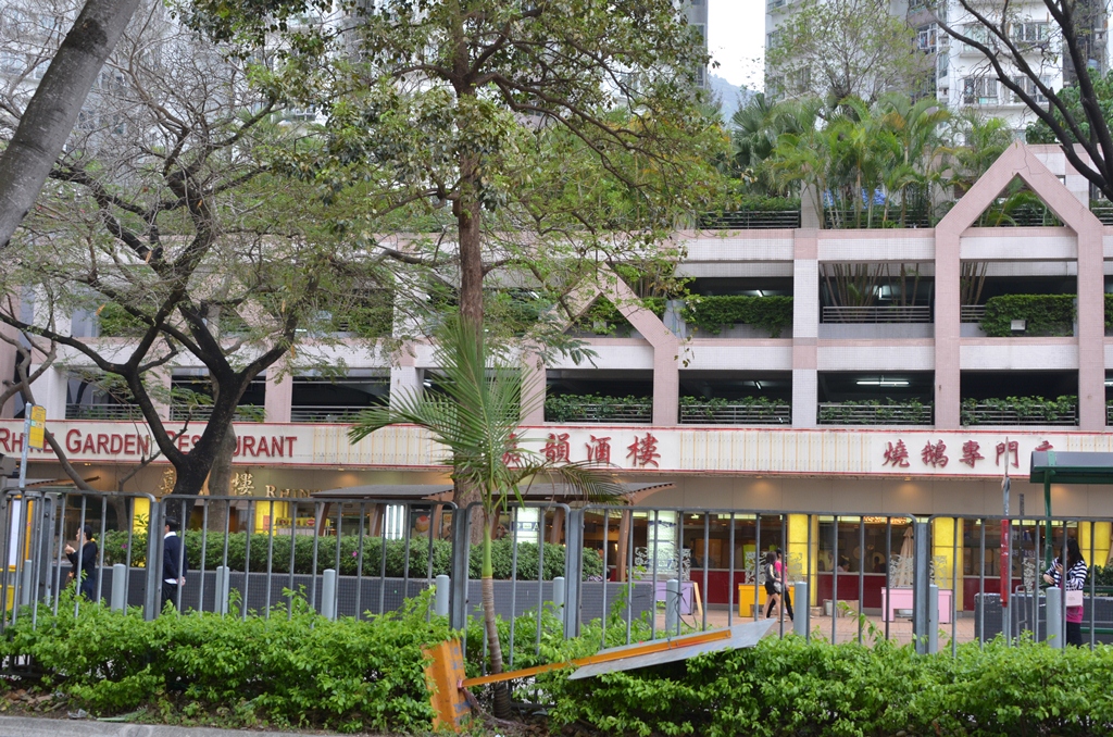 samtseng2.jpg