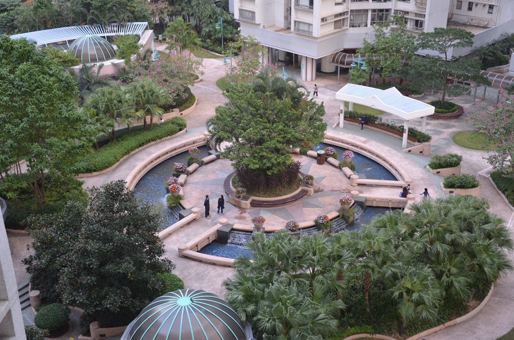 sh7.jpg