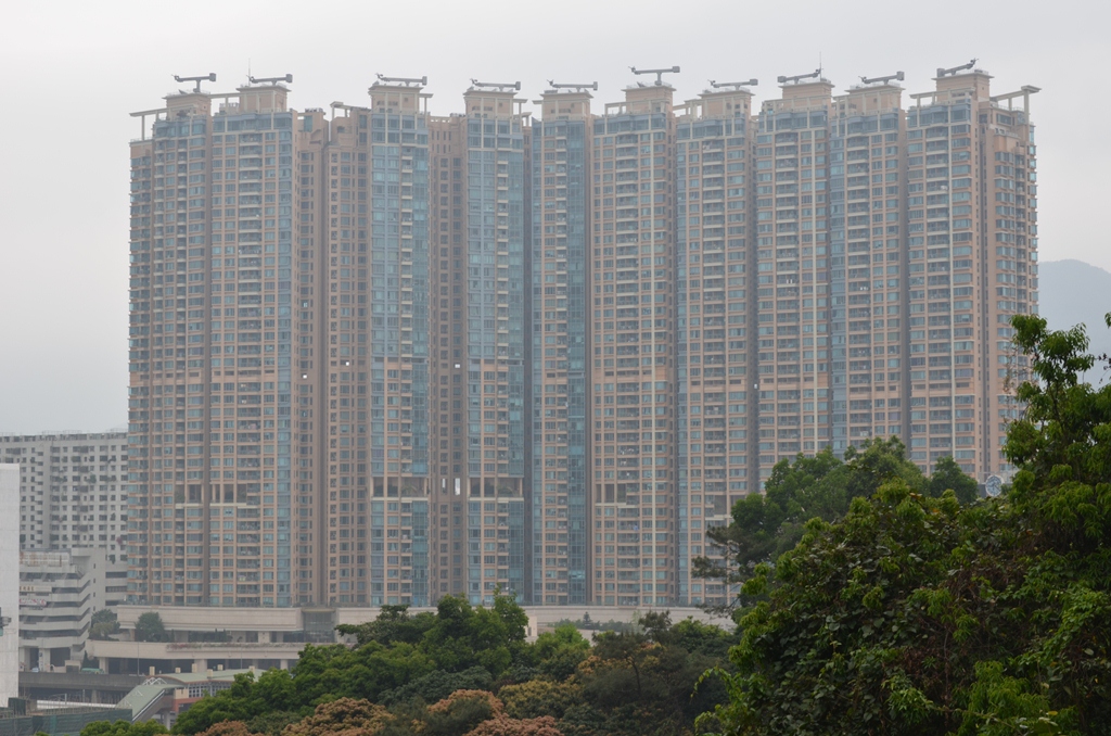 shatin13.jpg