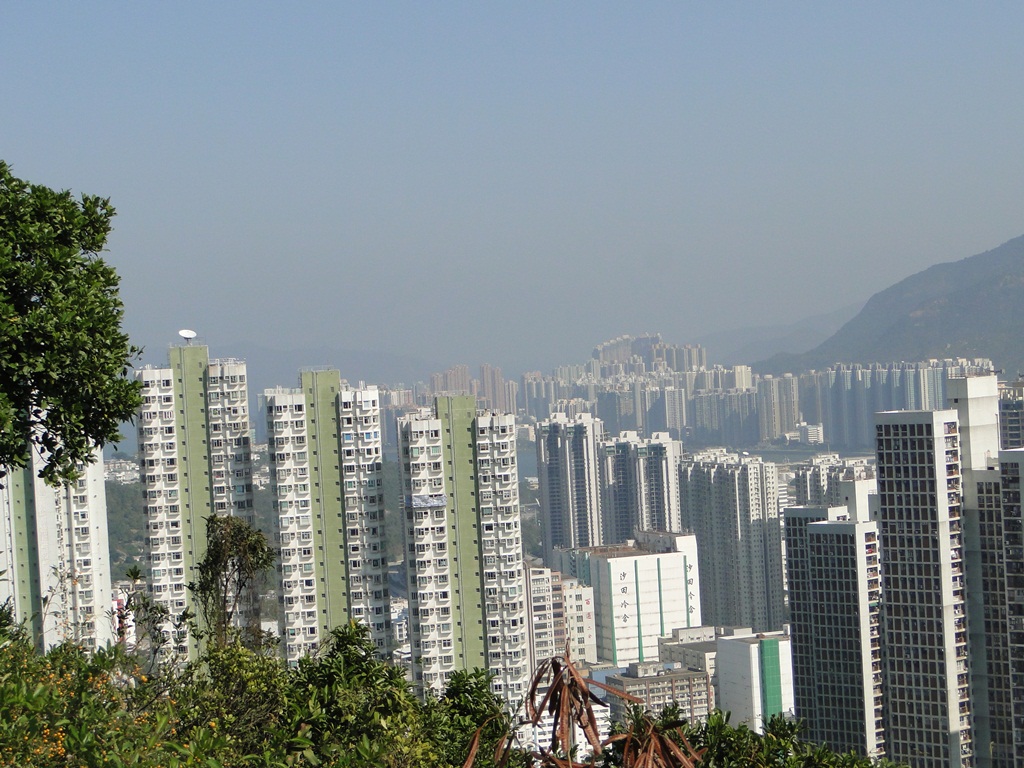 shatin2.jpg