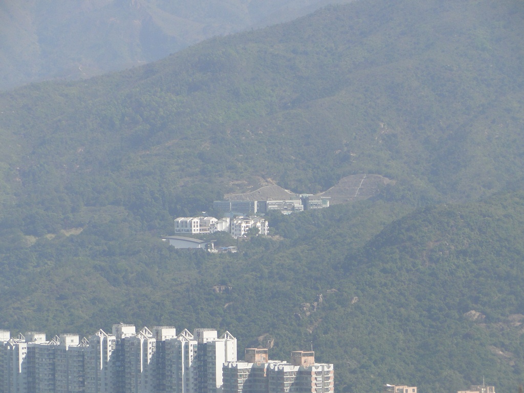 shatin3.jpg