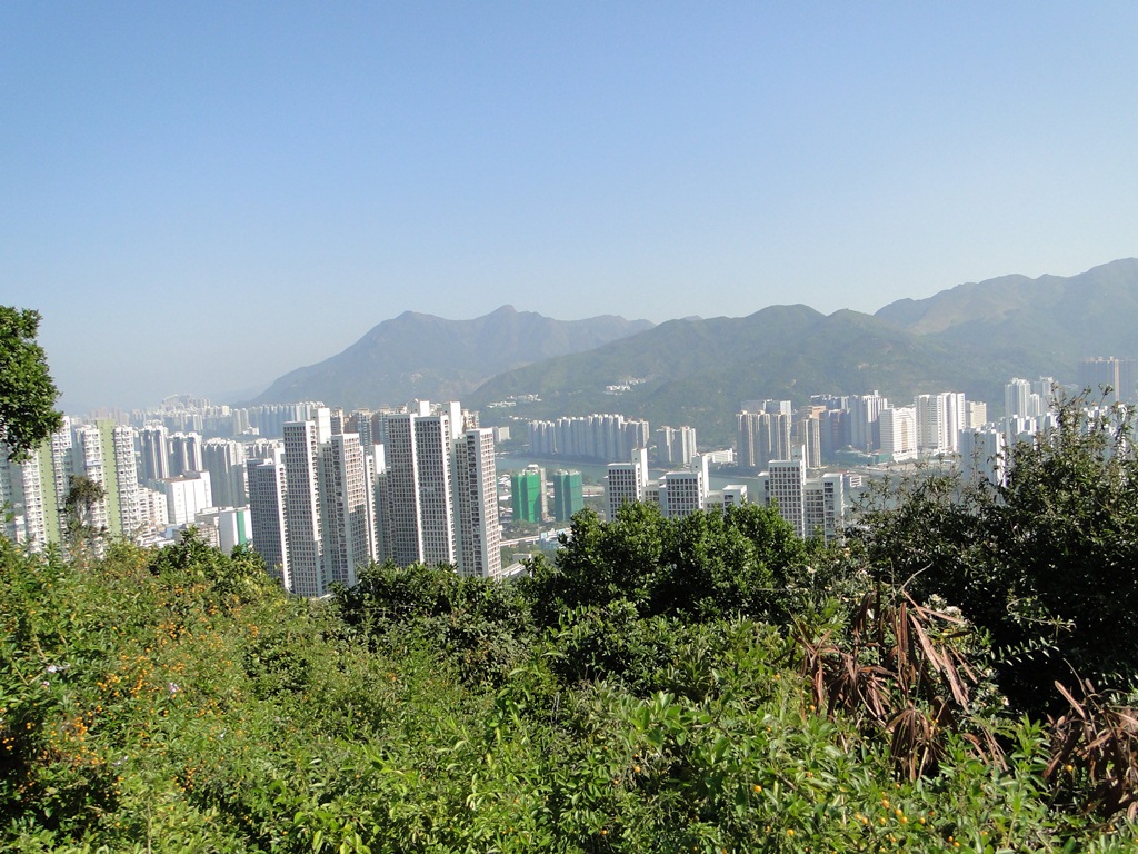 shatin4.jpg