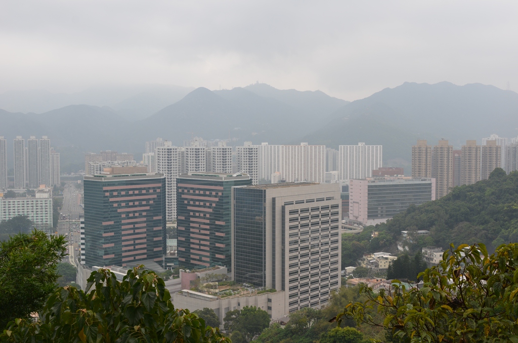 shatin5.jpg